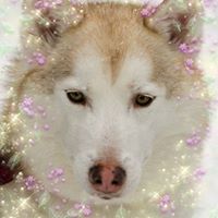Debra Cavanaugh Photo 5