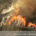 Jim Barrett Photo 37