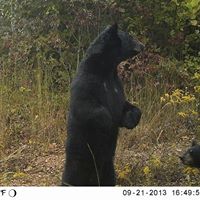 Thomas Mcmillan Photo 26