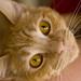 Kathy Tucker Photo 38