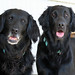 Heather Mckenzie Photo 14