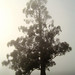 Misty Goodwin Photo 13