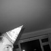 Andrea Sharpe Photo 13