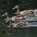Dan Turley Photo 7