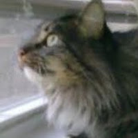 Dexter Scott Photo 17