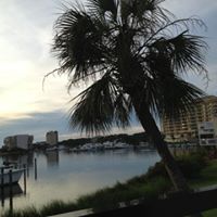 Debbie Maness Photo 18