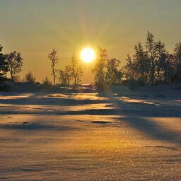 Thomas Piontek Photo 14
