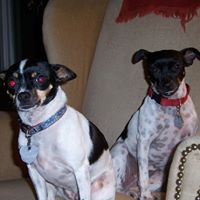 Joyce Bowers Photo 9