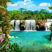 George Davison Photo 32