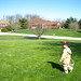 Joseph Kircher Photo 11