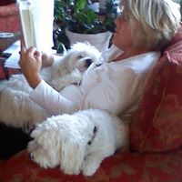 Susan Skoog Photo 12