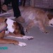 Annette Barney Photo 15