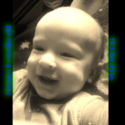 Melissa Crowell Photo 7