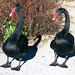 Brenda Bird Photo 39