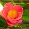 Phu Ho Photo 32
