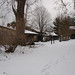 Robin Cross Photo 7