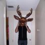 Daniel Coggins Photo 19