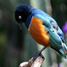 Elizabeth Starling Photo 20