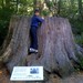 Annette Stump Photo 8
