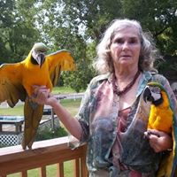 Judy Herzog Photo 13
