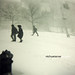 Frank Lerner Photo 16