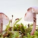 Sandra Moss Photo 23