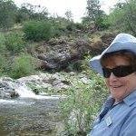 Carol Trabert Photo 2