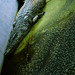 Denise Scales Photo 22