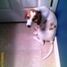 Marybeth Hunter Photo 11