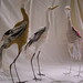 Wade Bird Photo 16