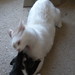 Fred Sprinkle Photo 10