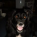 Mandy Young Photo 34
