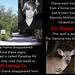 Diana Harris Photo 19