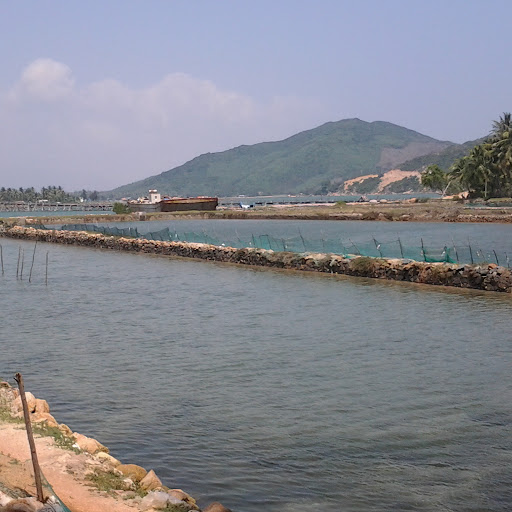 Ba Dinh Photo 3