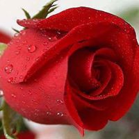 Amal Moustafa Photo 15