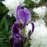 Ruth Gatlin Photo 8