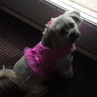 Deborah Moyer Photo 9