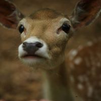 Aimee Lombardo Photo 8