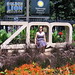 Sarah Blaser Photo 14