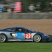 David Godfrey Photo 50