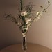 Lisa Flowers Photo 12