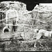 Fred Hill Photo 24