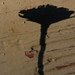 Mary Seeger Photo 24
