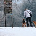 Wilson Clements Photo 8