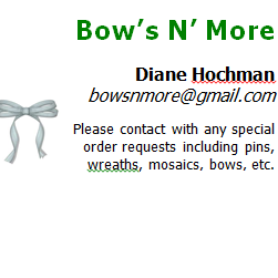 Diane Hochman Photo 8