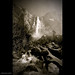 Shawn Sommers Photo 11