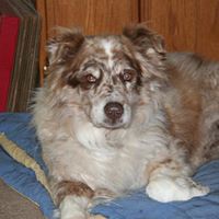 Fred Fox Photo 42