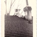 Roberta Pate Photo 12
