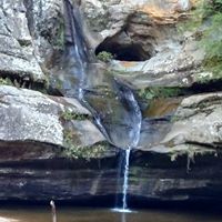 Cindy Brannon Photo 27