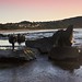Steve Forrester Photo 17